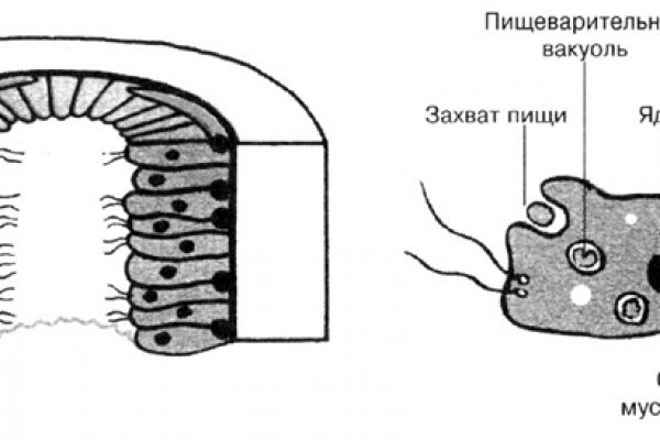 Kraken сайт зеркала krakens15 at