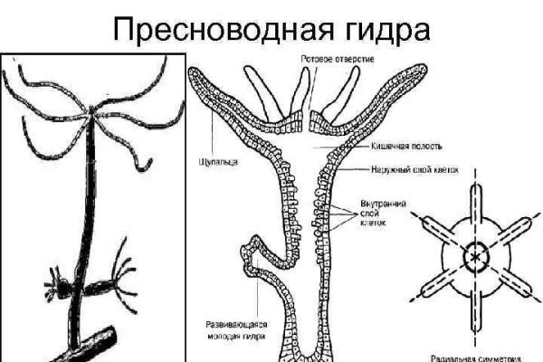 Кракен даркнет плейс