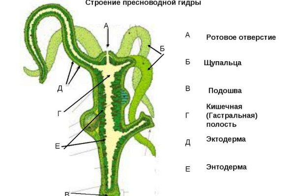 Kra6.cc