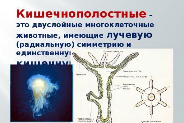 Ссылка на кракен тор браузер